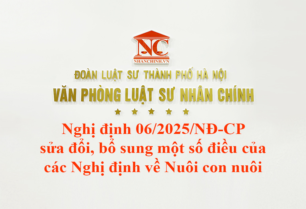 Nghị định 06/2025/NĐ-CP sửa đổi, bổ sung một số điều của các Nghị định về Nuôi con nuôi