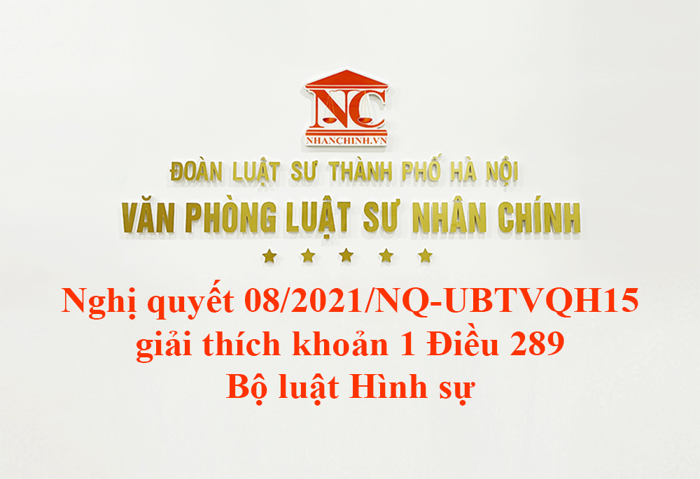 Nghị quyết 08/2021/NQ-UBTVQH15 giải thích khoản 1 Điều 289 Bộ luật Hình sự