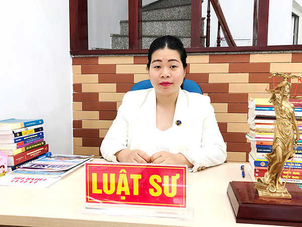 Mời luật sư tham gia vụ án tranh chấp ly hôn, giành quyền nuôi con và chia tài sản